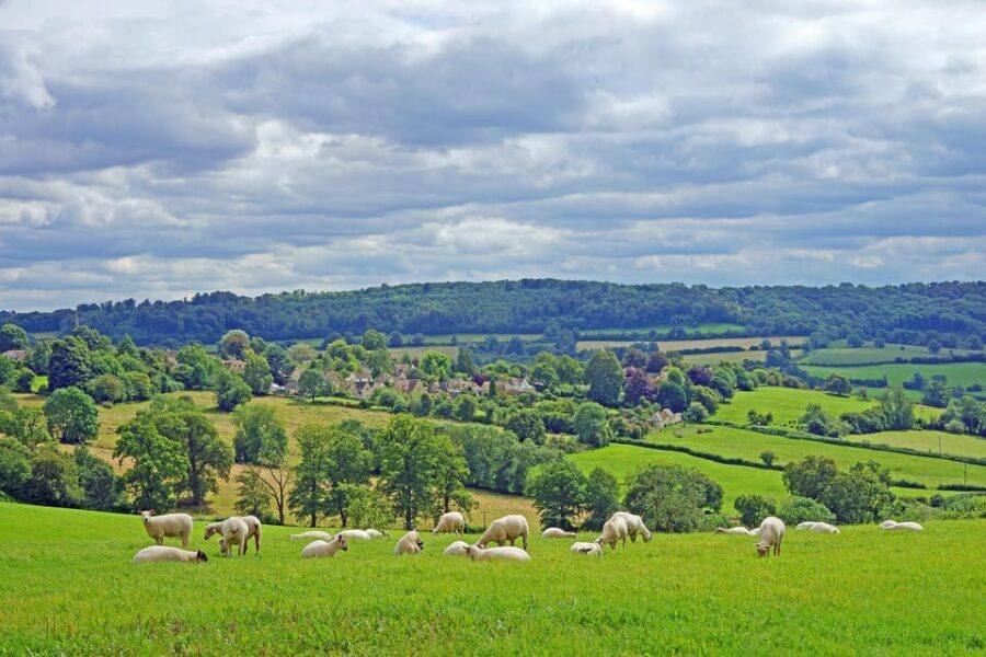 From London: Small Group Stonehenge, Bath & Cotswolds Tour - Who should book this tour (and who might want a different plan)