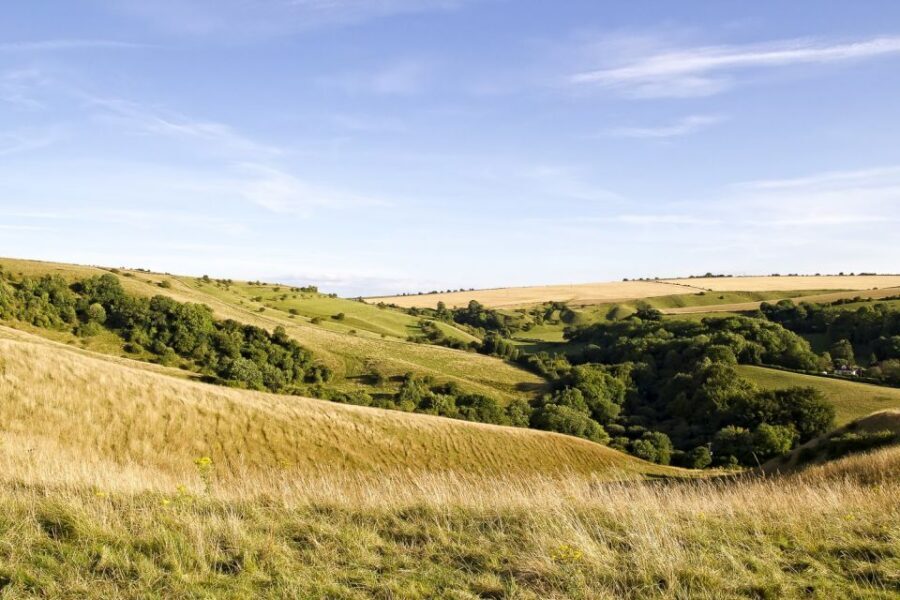 From London: Stonehenge and Bath Day Trip with Ticket - Who should book this day trip (and who should skip it)