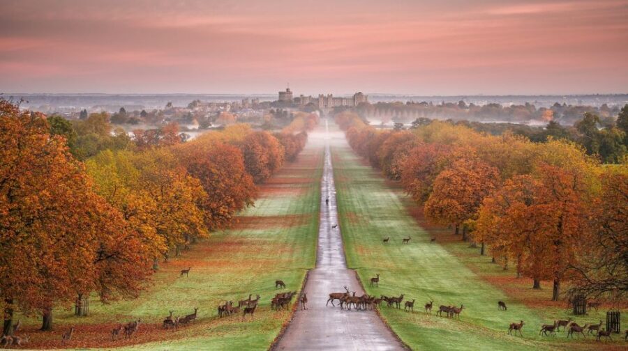 From London: Stonehenge, Windsor and Salisbury Guided Tour - Timing Reality Check: Long Day, Short Stops