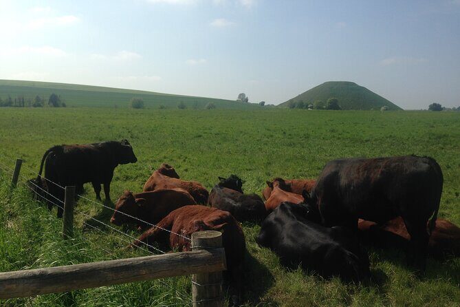 Private Archaeologist Guided Tour Stonehenge, Salisbury & Avebury - Stonehenge: How to See More Than the Usual Photo Angle