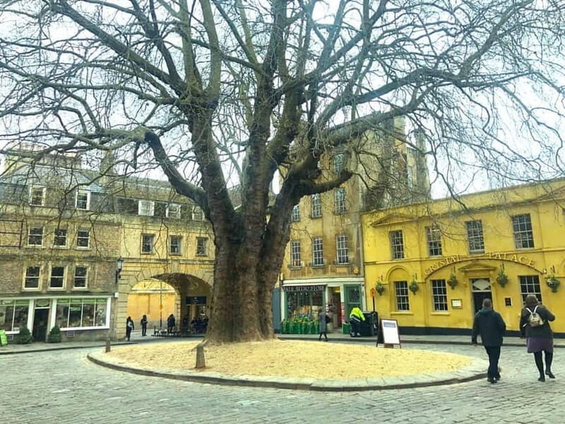 Stonehenge, Bath, Windsor and Roman Baths London Day Tours - The guide-driver combo: why it makes or breaks a long day